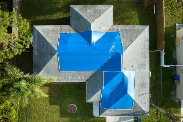 Best Roof Maintenance and Cleaning  in Grayson Vley, AL