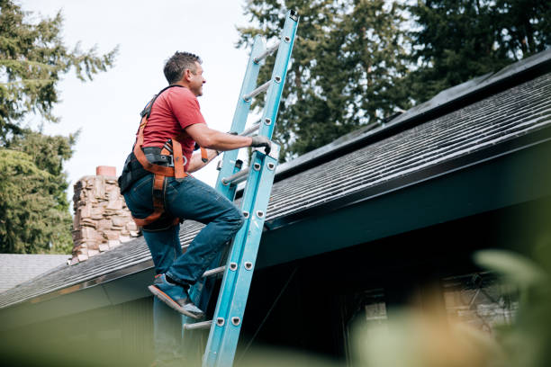 Best Roof Insulation Installation  in Grayson Vley, AL