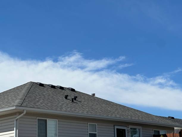 Best Green or Eco-Friendly Roofing Solutions  in Grayson Vley, AL